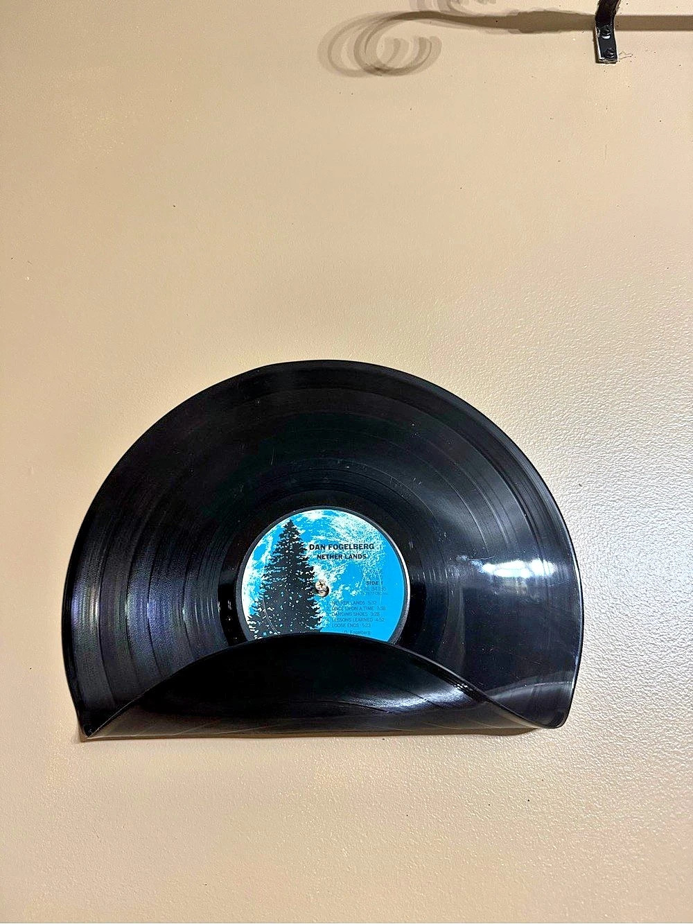 Vinyl Record shelf Wall Decor